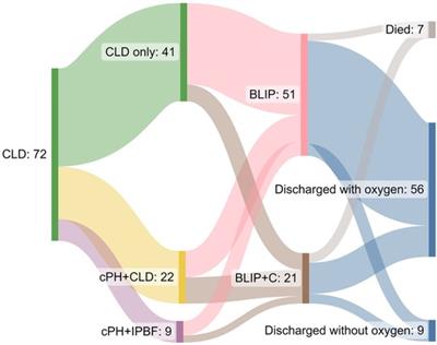 Targeted neonatal echocardiography and lung ultrasound in preterm infants with chronic lung disease with and without pulmonary hypertension, screened using a standardized algorithm